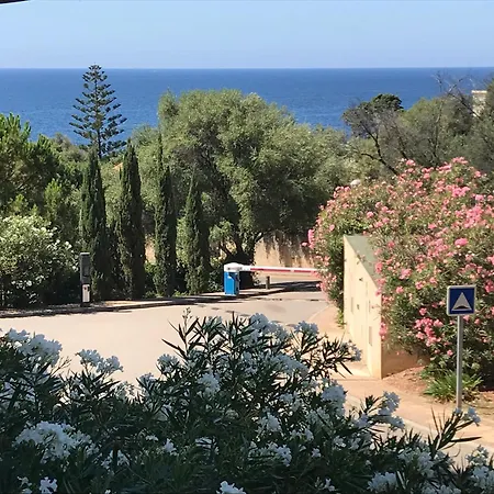 Entre Terre Et Appartement Ajaccio (Corsica)